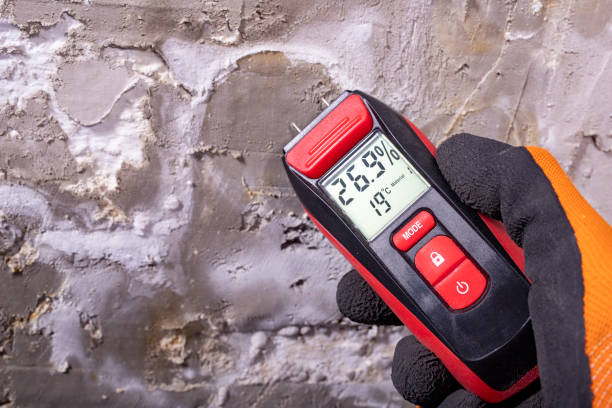 Mold Removal Process in White Rock, NM